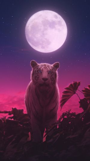 Wallpaper