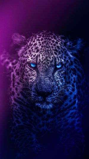 Wallpaper