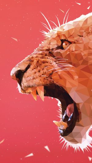 Wallpaper