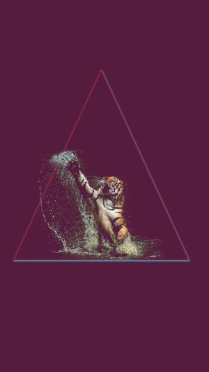 Wallpaper