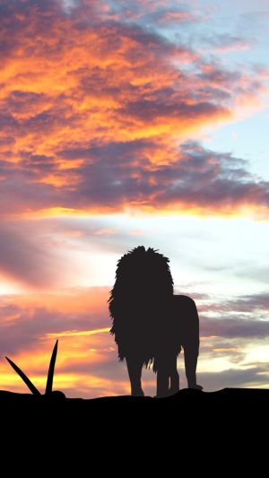 Wallpaper