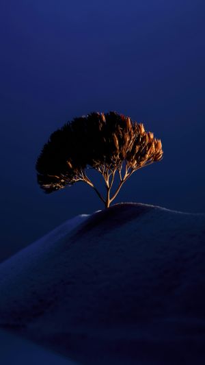 Wallpaper