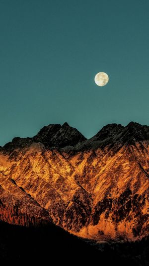 Wallpaper