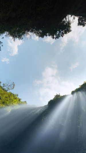 Wallpaper