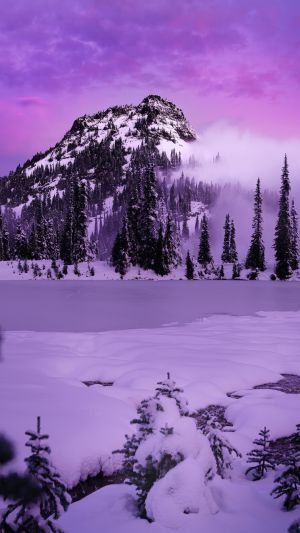 Wallpaper