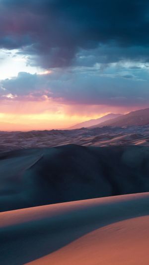 Wallpaper