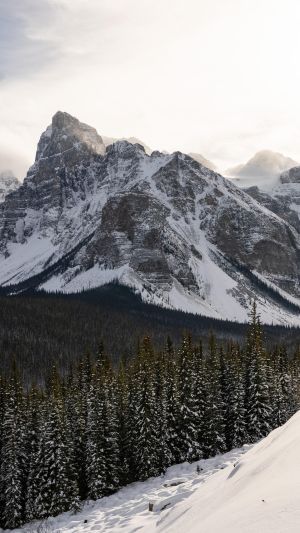 Wallpaper