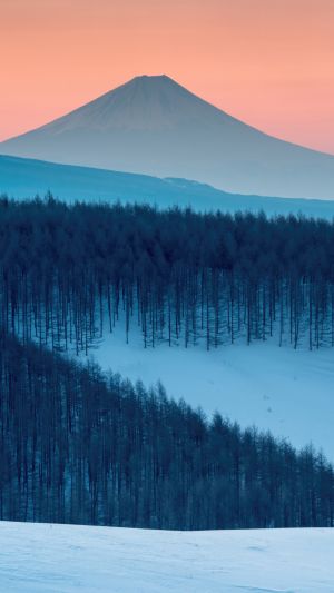 Wallpaper