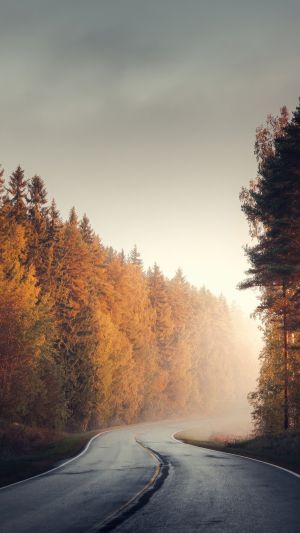 Wallpaper