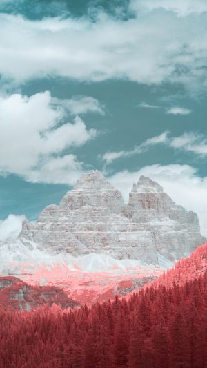 Wallpaper