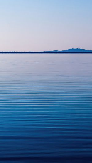 Wallpaper