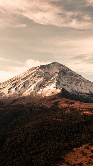Wallpaper