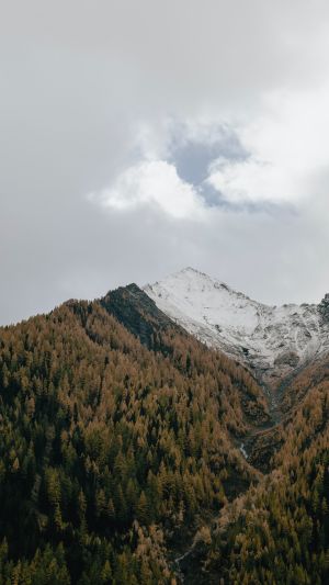 Wallpaper