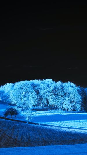 Wallpaper