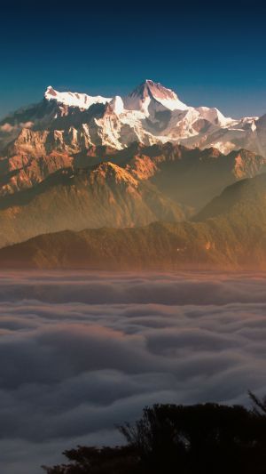Wallpaper
