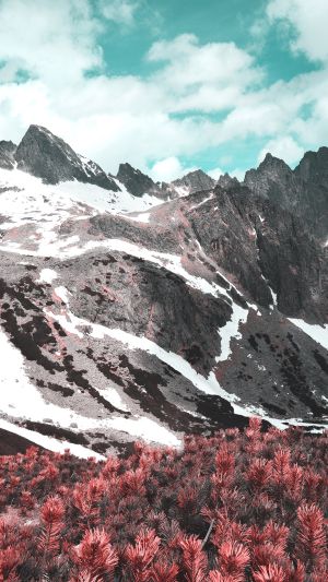 Wallpaper