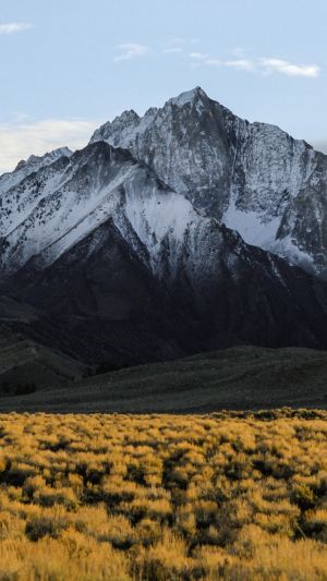 Wallpaper