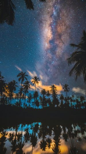 Wallpaper