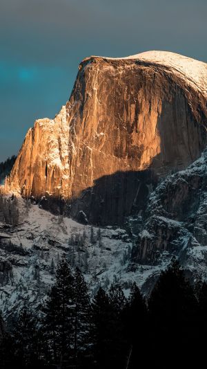 Wallpaper