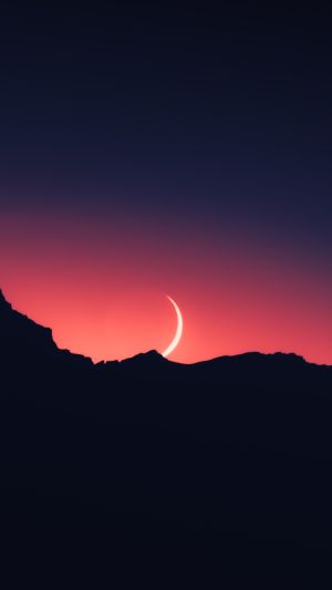 Wallpaper