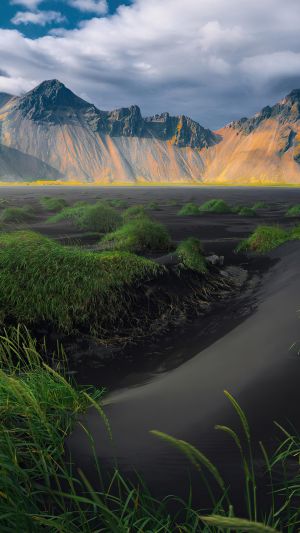 Wallpaper