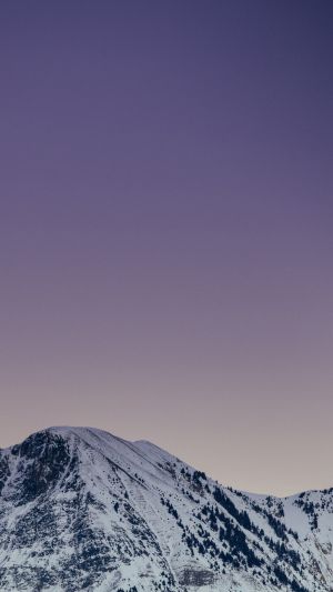 Wallpaper