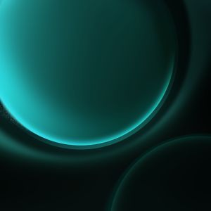Wallpaper