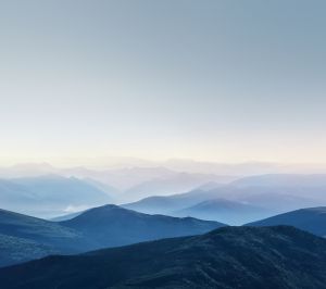 Wallpaper