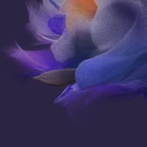 Wallpaper