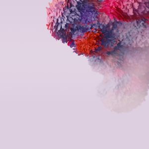 Wallpaper