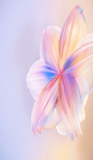 Wallpaper