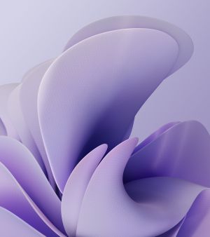 Wallpaper