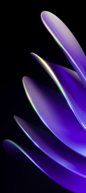 Wallpaper