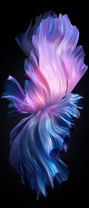 Wallpaper