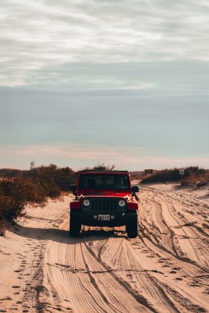 Wallpaper