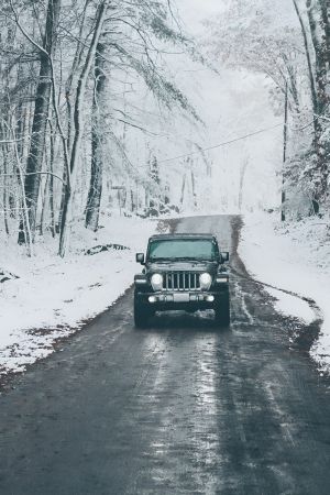 Wallpaper
