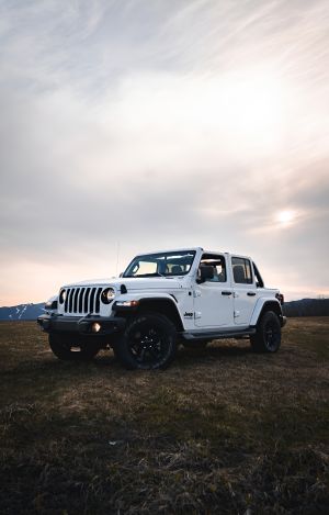 Wallpaper