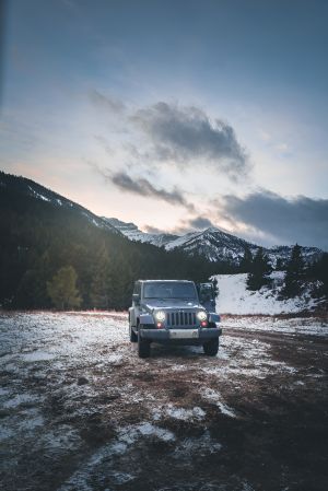 Wallpaper