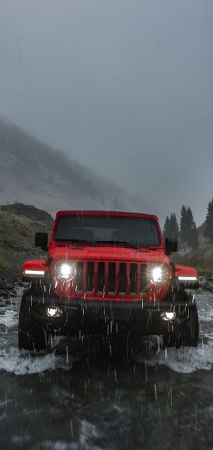 Wallpaper