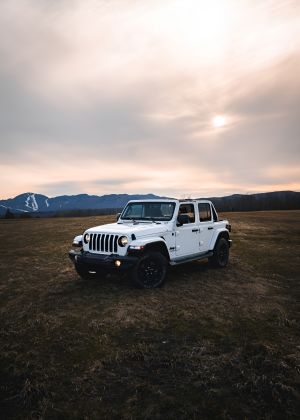 Wallpaper