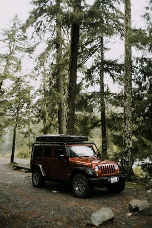 Wallpaper